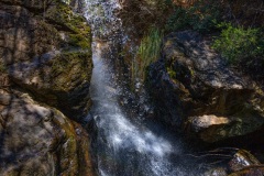 DSC_1565